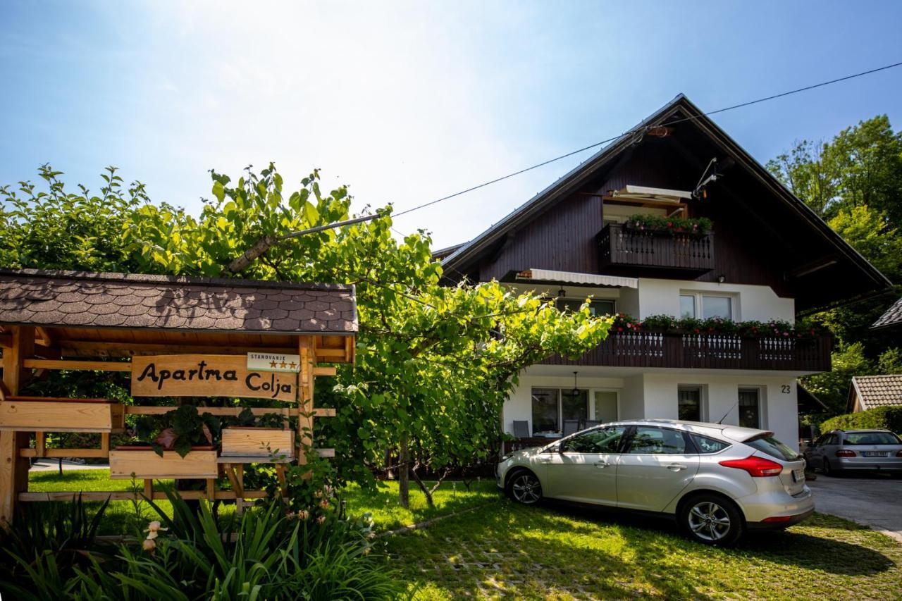 Apartmaji Colja Bohinj Exteriér fotografie